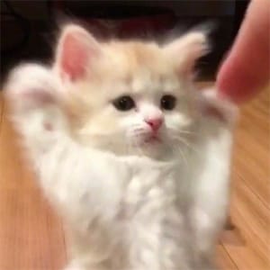 Ảnh đại diện người dùng Đức Minh